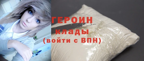 сатива Горняк