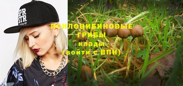 сатива Горняк