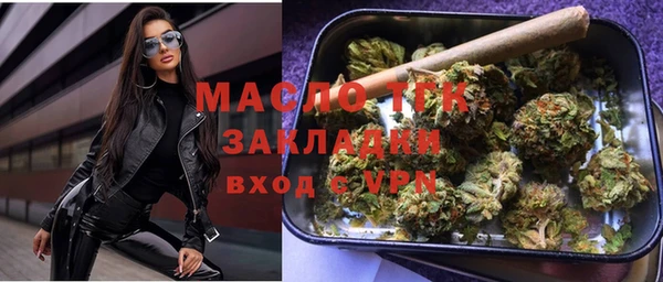 сатива Горняк