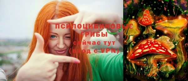 мет Горно-Алтайск