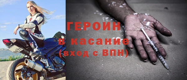 сатива Горняк